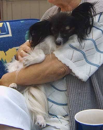 wanda071.jpg