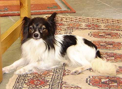 wanda089.jpg