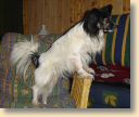 DSC02745.jpg