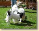 DSC02750.jpg