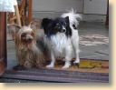 DSC02751.jpg
