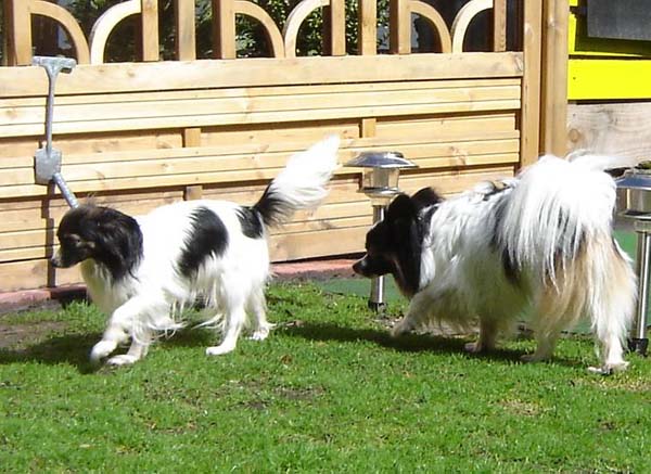 DSC02753.jpg