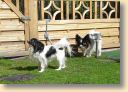 DSC02756.jpg