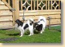 DSC02757.jpg