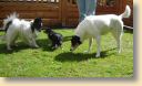 DSC02759.jpg