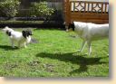 DSC02764.jpg