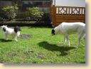 DSC02765.jpg