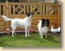 DSC02766.jpg
