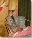 DSC02768.jpg
