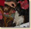 DSC02769.jpg