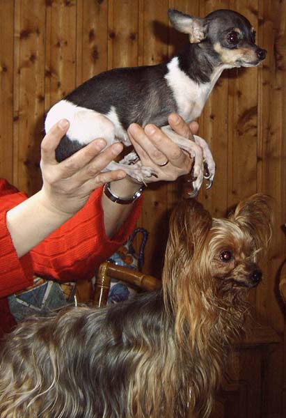 IMG00020_2.jpg
