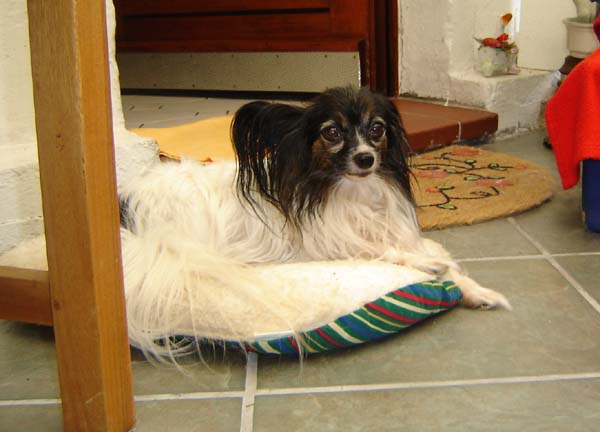 WandaMS004.jpg