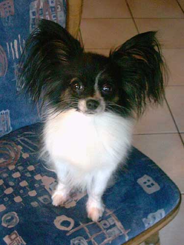Sammy018.jpg