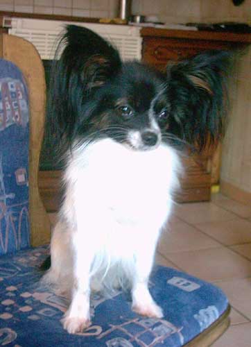 Sammy023.jpg
