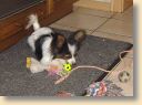 DSC02667.jpg