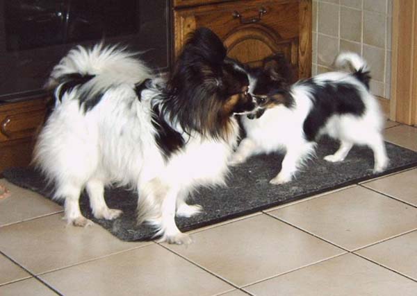 IMG00006_2.jpg
