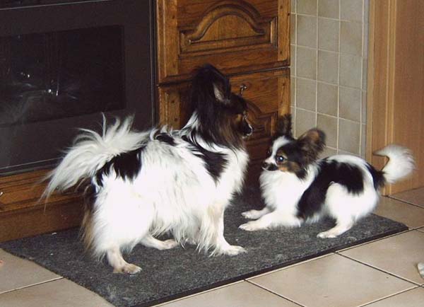 IMG00007_2.jpg