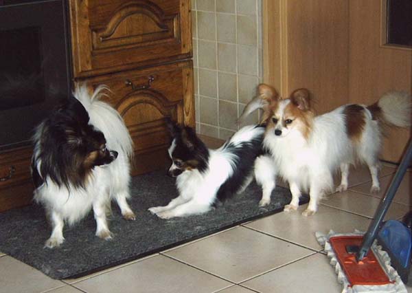 IMG00008_2.jpg