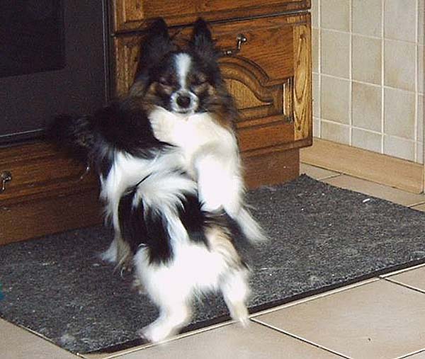IMG00013_2.jpg