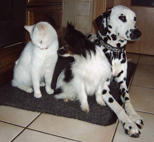 IMG00019.jpg