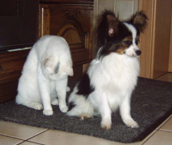 IMG00020.jpg