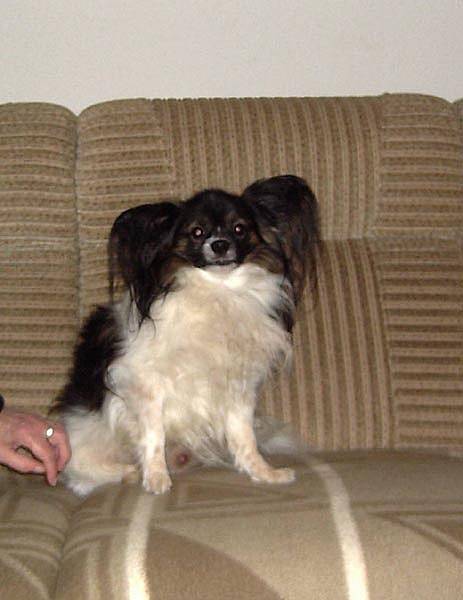 Mortimer004.jpg