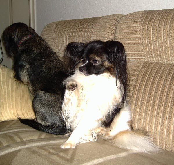 Mortimer005.jpg