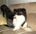 Mortimer005.jpg