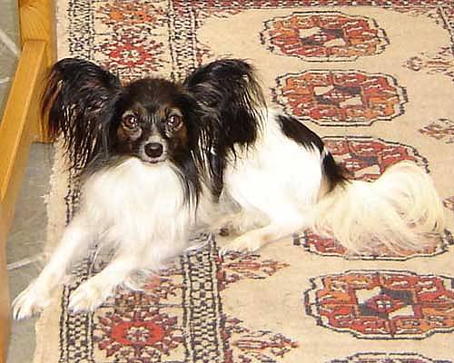 wanda088.jpg