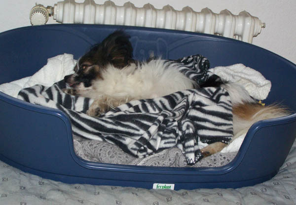 310109_009.jpg